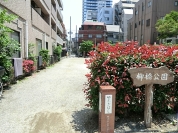 柳橋公園