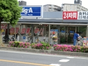ビッグ・エー中青木店