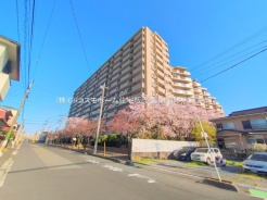 戸田市喜沢南１丁目