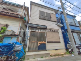 川口市芝富士