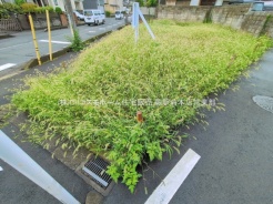 さいたま市緑区宮本2丁目