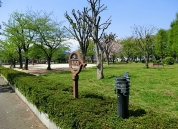 柳崎第2公園