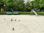 本町2丁目公園