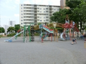 白幡公園